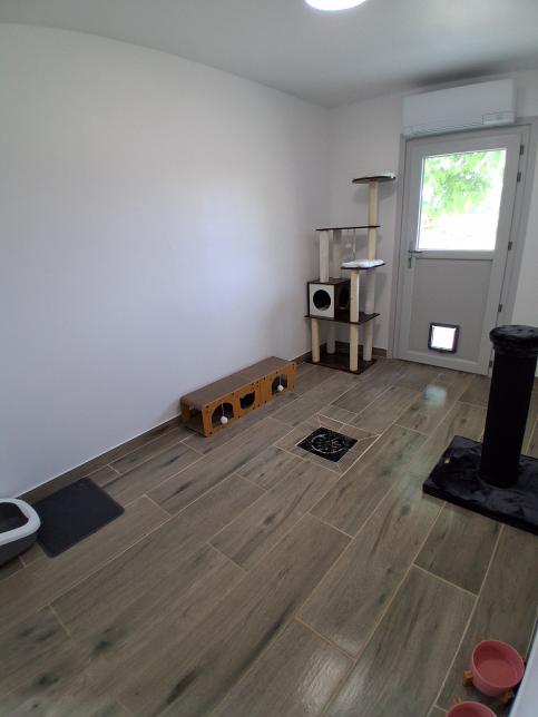 Chambre privée chat, jeux