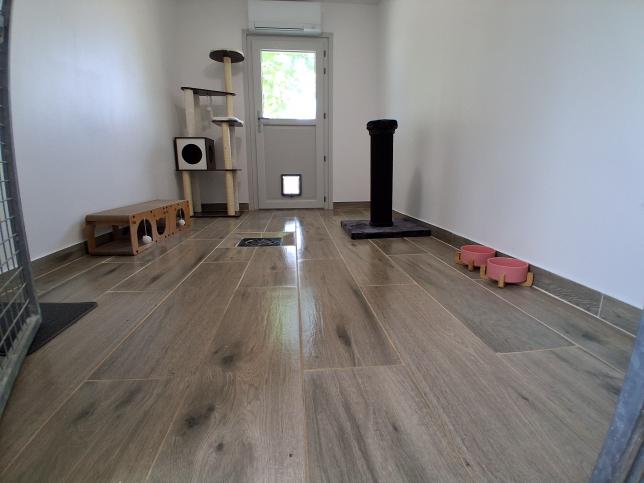 Chambre privée chat
